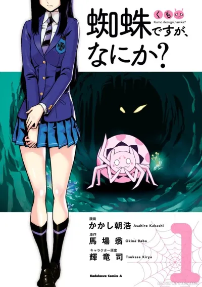So I'm a Spider, So What? poster