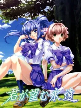 Póster de Kimi ga Nozomu Eien