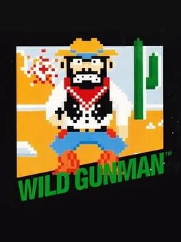 Wild Gunman poster