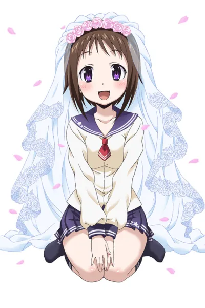 Póster de My Wife is the Student Council President