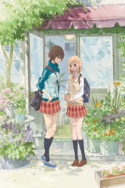 Póster de Kase-san and Morning Glories