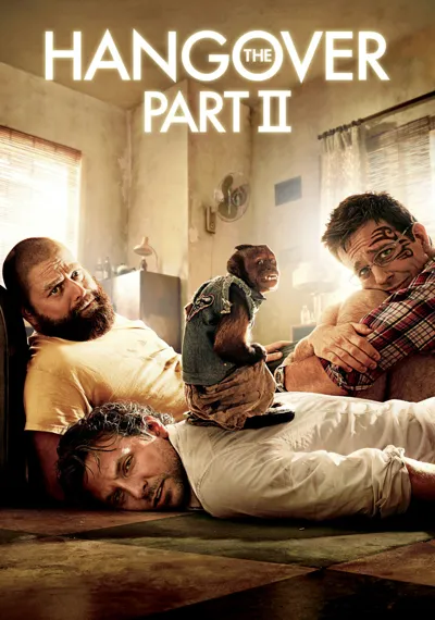The Hangover Part II poster