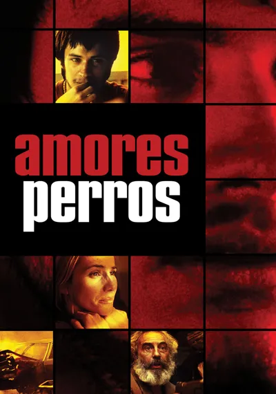 Amores perros poster