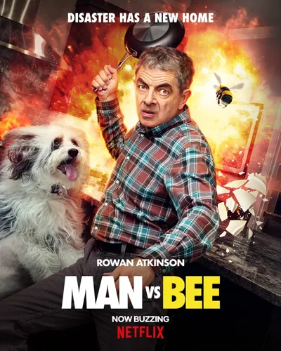 Man vs. Bee poster