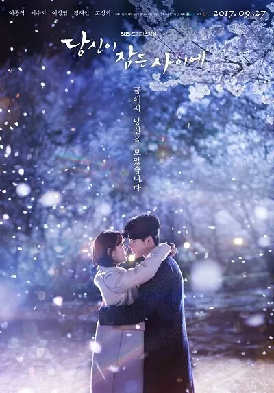 Poster von While You Were Sleeping
