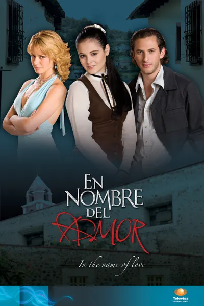 Póster de En nombre del amor