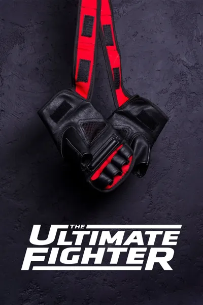 Poster von The Ultimate Fighter