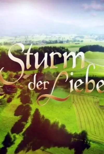 Storm of Love poster