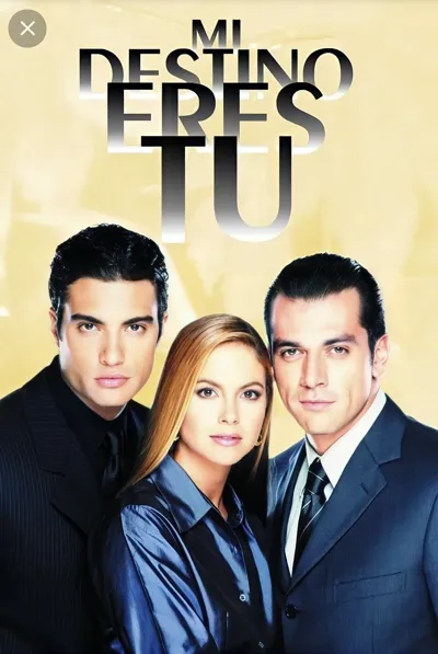 Mi Destino Eres Tú poster