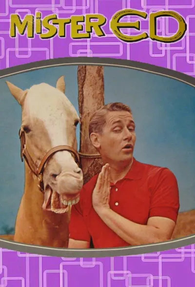 Mister Ed poster