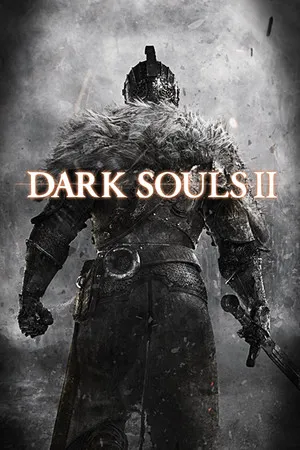 Dark Souls II poster