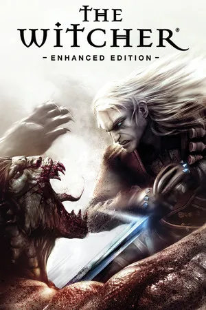 The Witcher poster