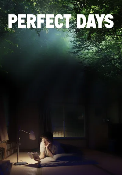 Perfect Days poster