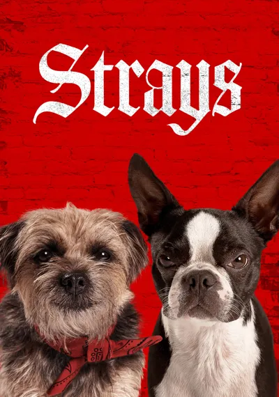 Strays poster
