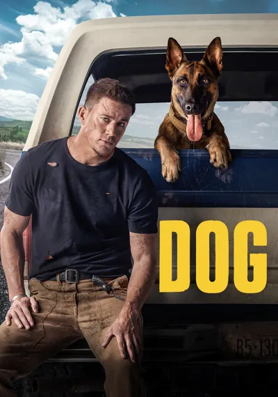 Dog poster