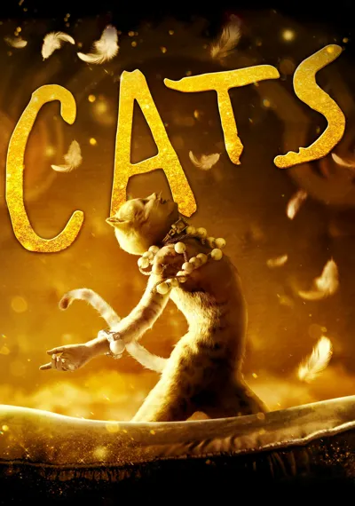 Cats poster