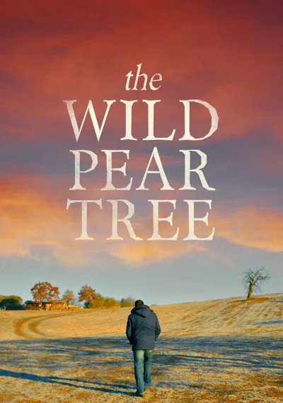 The Wild Pear Tree poster