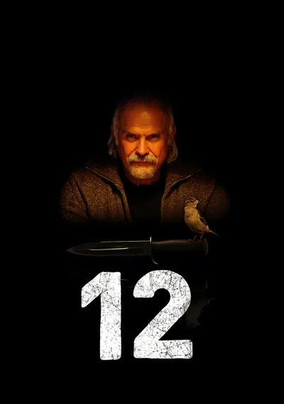 12 poster