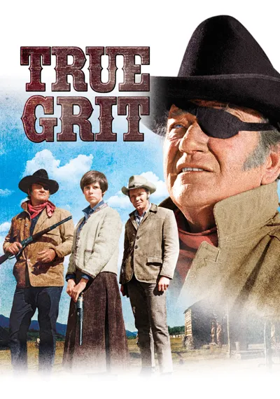 True Grit poster