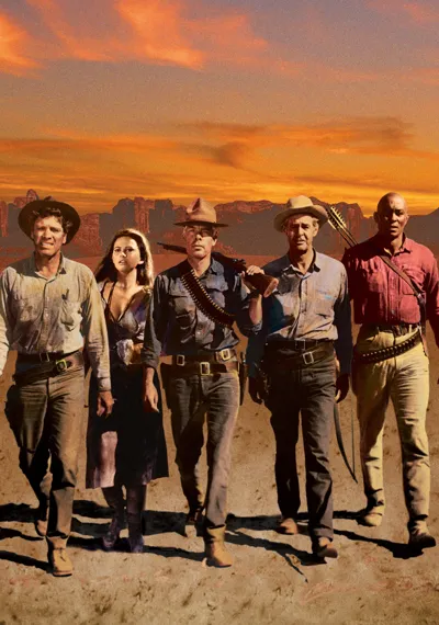 The Professionals poster
