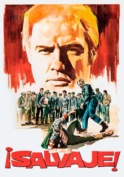 The Wild One poster