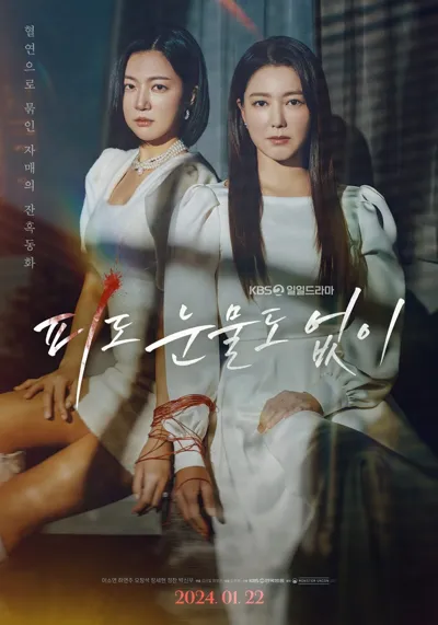 The Two Sisters poster