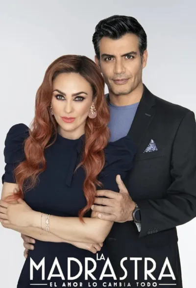 Póster de The Stepmom
