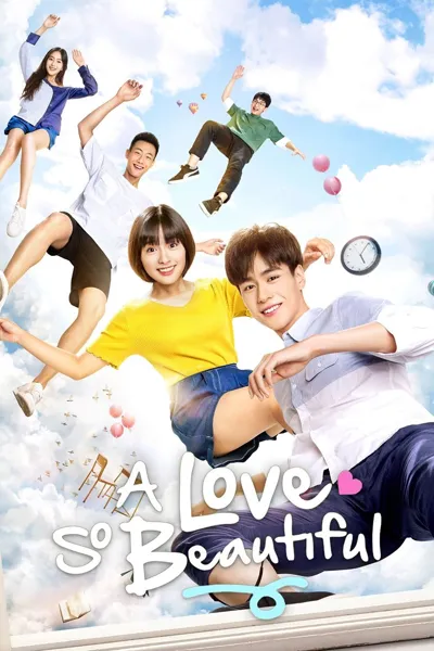 Plakat: A Love So Beautiful