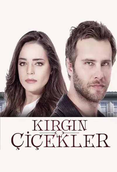 Kırgın Çiçekler 1 poster