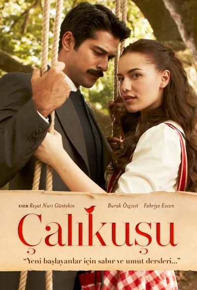 Çalıkuşu poster
