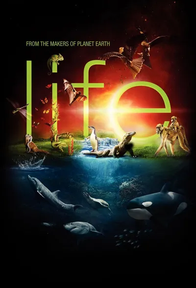 Póster de Life