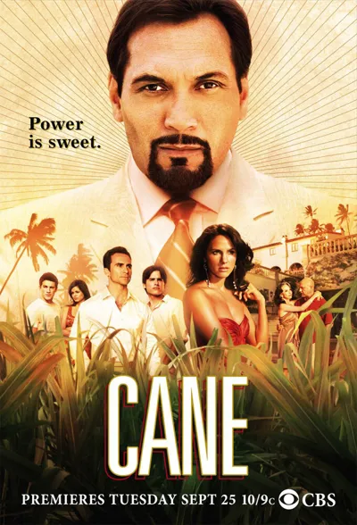 Póster de Cane