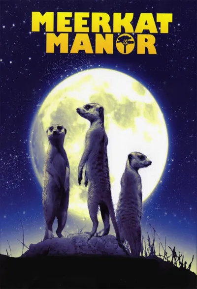 Poster von Meerkat Manor