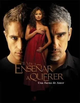 Te Voy a Enseñar a Querer poster