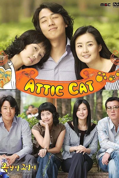 Poster von Rooftop Room Cat