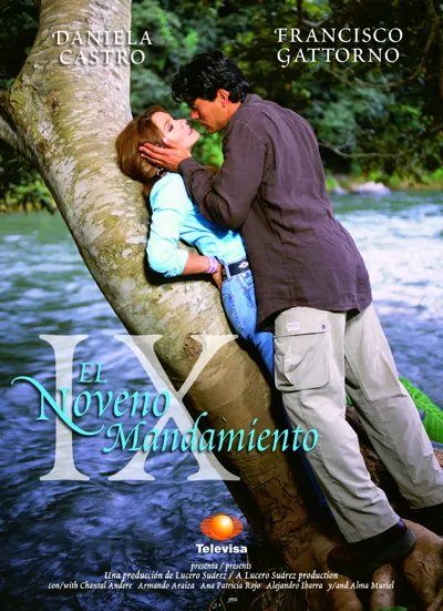 El Noveno mandamiento poster
