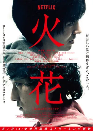 Fireworks poster