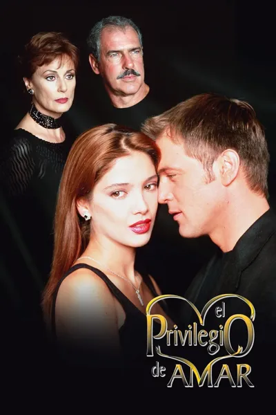Poster von El privilegio de amar